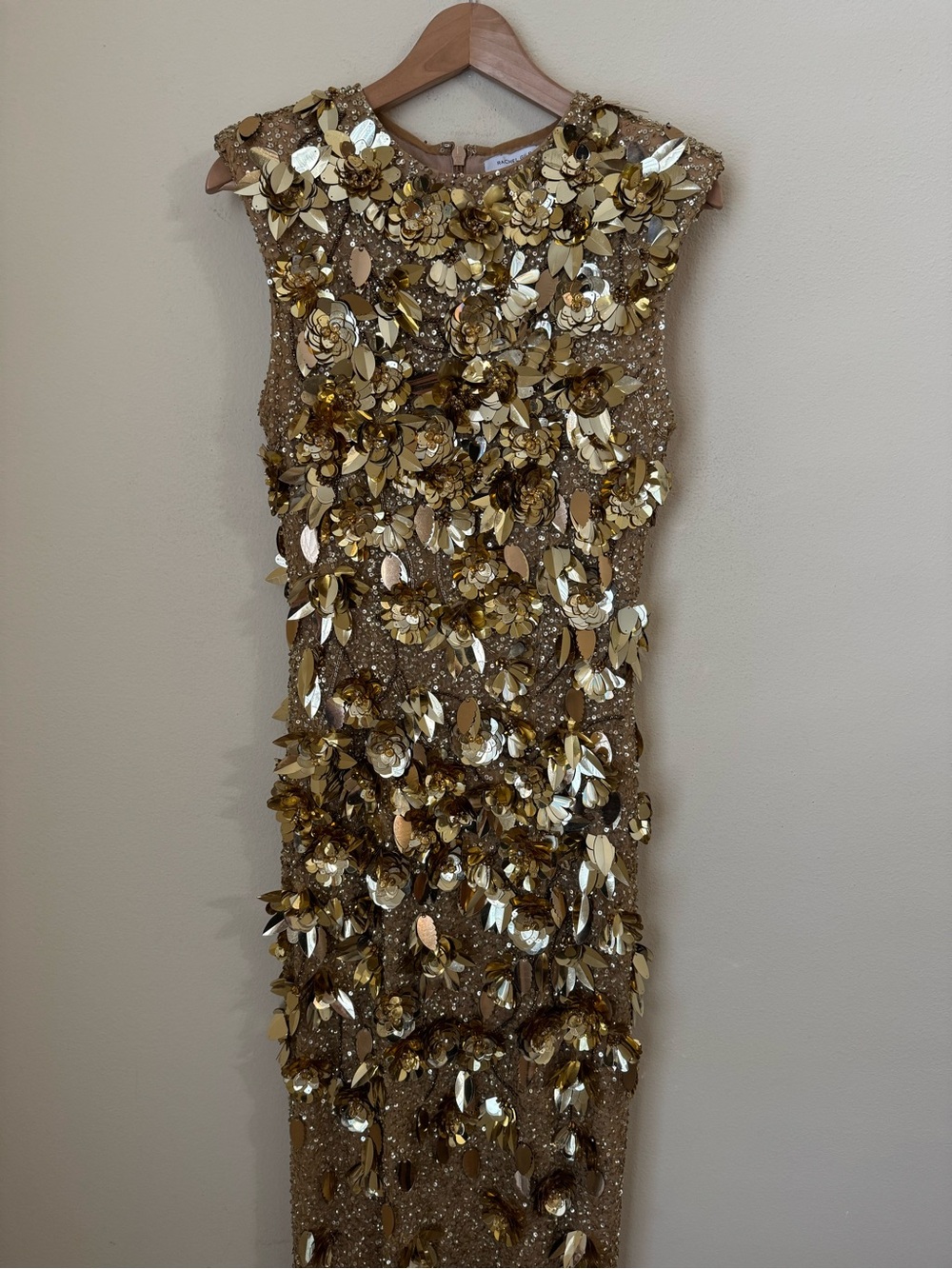 Rachel Gilbert Gold Embellished Sleeveless Sequin Gown - Picture 4 of 10